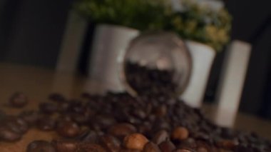 Kavrulmuş kahve çekirdekleri. Kavrulmuş kahve çekirdekleri yavaşça daireler çiziyor. Kavrulmuş kahve fasülyesi arka planı, üst manzara..