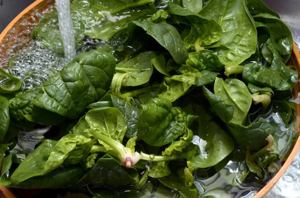Washing Spinach Water — Stock Photo, Image