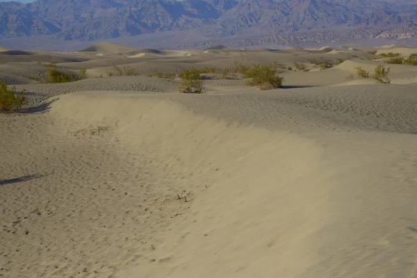 Sable Dunes Dans Vallée Mort — Photo