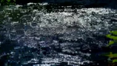 su ve bir sunlights yeşil