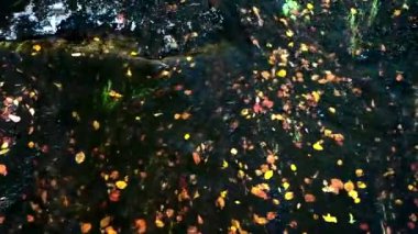 su ve bir sunlights yeşil