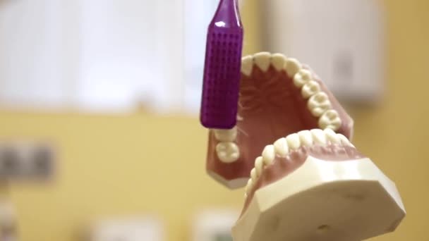 De techniek van de reiniging van de tanden — Stockvideo