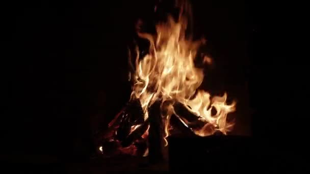 Fire Burns Fireplace Stock Footage