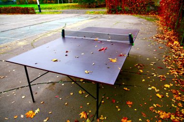 btautiful sonbahar landscap