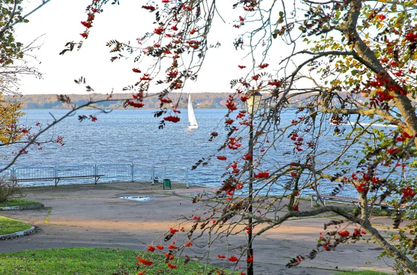 Btautiful paesaggio autunnale — Foto Stock