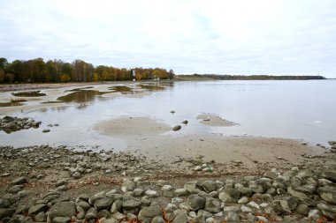 Beautyful sonbahar landscap