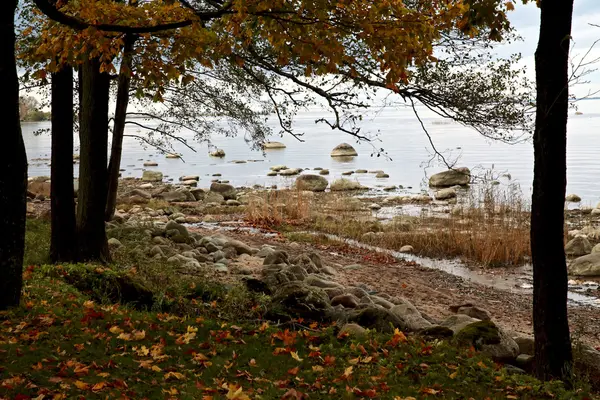 Beautyful autumn landscap — Stock Photo, Image