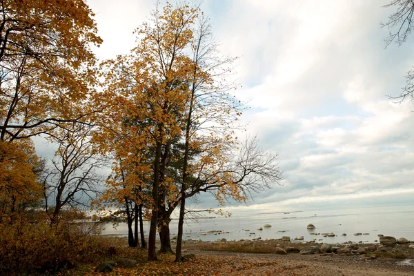 Beautyful autumn landscap — Stock Photo, Image