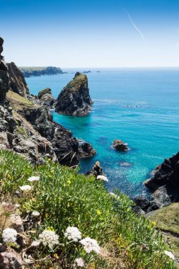 Cornwall Manzarasında Kynance Koyu