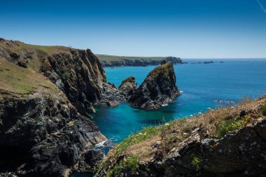 Cornwall Manzarasında Kynance Koyu