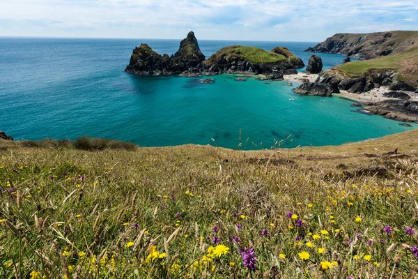 Cornwall Manzarasında Kynance Koyu