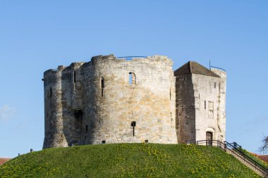 York, Yorkshire, Uk - 22 Şubat 2020. York 'taki Ortaçağ Clifford Kulesi, Baharda Uk Sarı nergis ve mavi gökyüzü.