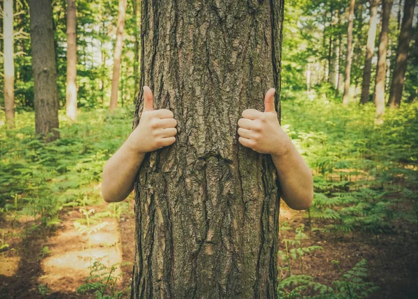 A tree charachter with arms giving a positive message with a thumbs up gesture to the camera with copy space.