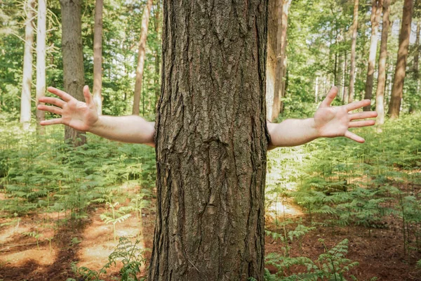 Śmieszne Charakter Obraz Drzewa Lesie Ustawienie Ramionami Podniesione Gotowy Przytulenia — Zdjęcie stockowe