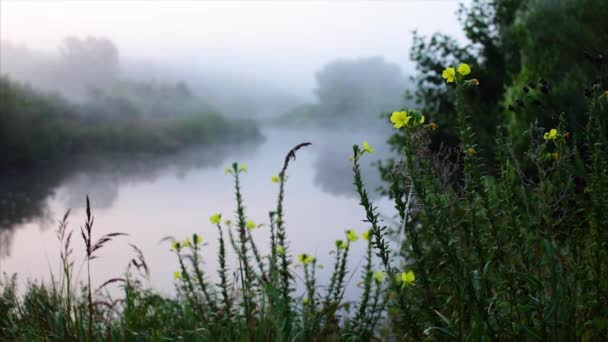 Mattina nebbia del fiume e belle fiumi alba — Video Stock