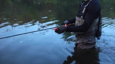 Balıkçı sineği balık sabah nehirde gider
