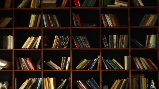 Estanterías en la biblioteca universitaria con muchos libros — Vídeo de stock