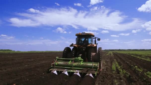 Agriculture tractor seeding plants — Stock Video