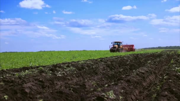 Agricultura tractores plantas de siembra — Vídeos de Stock