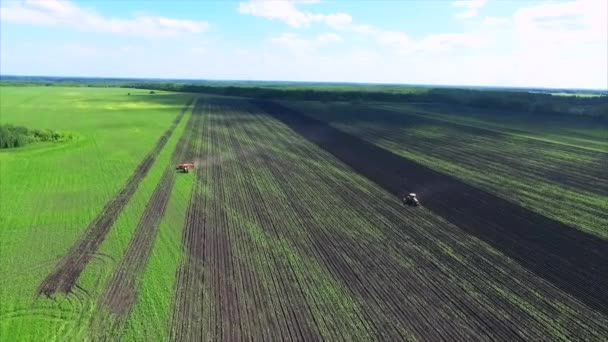 Domaine agricole et tracteur — Video