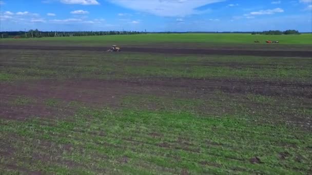 Agricultura y tractores — Vídeos de Stock