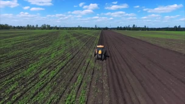 Pole rolnictwo i ciągnika — Wideo stockowe