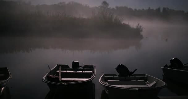 Fiskebåtar i kusten vid natt timelapse 4k — Stockvideo