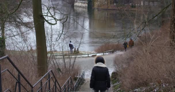 Hermoso parque lago de invierno en Berlín — Vídeo de stock