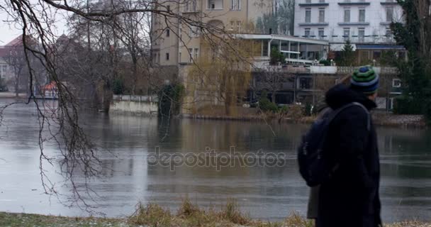 Bellissimo parco lacustre invernale a Berlino — Video Stock