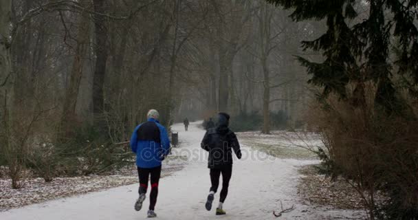 Doi oameni care aleargă pe o pădure acoperită de zăpadă — Videoclip de stoc