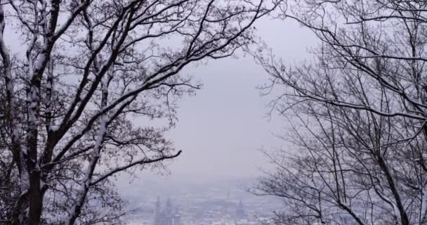 Вид на зимнюю Прагу, реку Влтаву, базилику Святого Георгия, здания и деревья, стоящие в снегу над туманным небом — стоковое видео