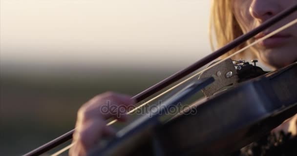 Close-up of musician playing violin, classic music — Stock Video