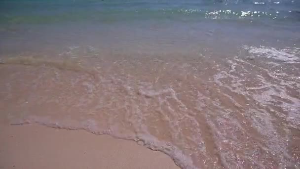 코가 Lipe 섬 근처 아름 다운 열 대 해변입니다. 태국 — 비디오