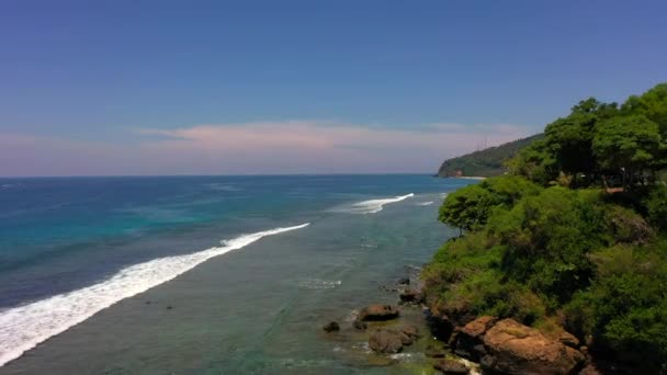 Повітряний вид морських хвиль, зелених пальм на піщаному узбережжі. Тропічний ландшафт з пальмами, піском, блакитною водою. Ломбок, Індонезія 2020. — стокове відео