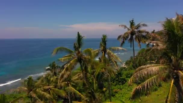 Вид с воздуха на тропический пляж с белым песком и пальмовый лес. Ломбок, Индонезия 2020 — стоковое видео