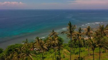 Tropikal beyaz kumsal ve palmiye ağaçlarının havadan görünüşü. Lombok, Endonezya 2020