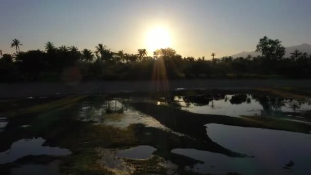 Veduta aerea dell'alba sulle montagne. Le sagome delle palme si riflettono in un'acqua di mare durante l'alba sulle montagne . — Video Stock