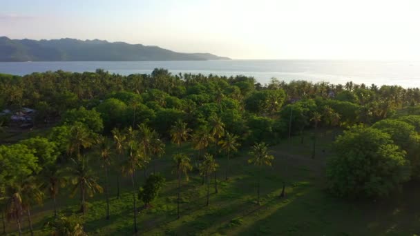 Повітряний вид на захід сонця над пальмами, морем і горами на тропічному острові. Gili Air, Індонезія 2020 — стокове відео