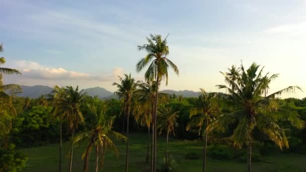 Vista aérea al atardecer sobre palmeras, mar y montañas en una isla tropical. Gili Air, Indonesia 2020 — Vídeos de Stock