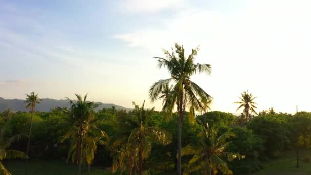 Letecký pohled při západu slunce nad palmami, mořem a horami na tropickém ostrově. Gili Air, Indonésie 2020 — Stock video