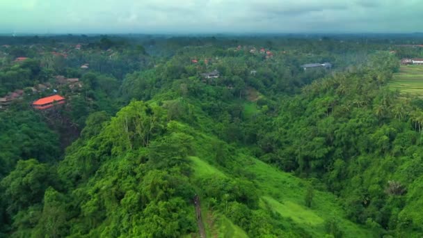 Gün batımında mavi gökyüzü altında palmiye ağaçları ve tropikal bitkilerle muhteşem Bali yağmur ormanları manzarası. — Stok video