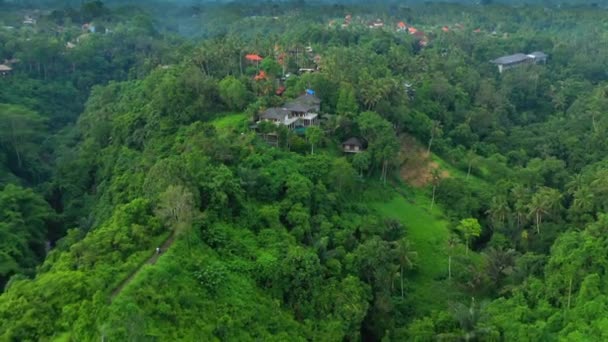 Vista aérea da incrível paisagem da selva de Bali com palmeiras e plantas tropicais sob um céu azul durante o pôr do sol . — Vídeo de Stock