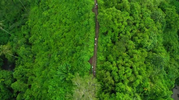 Vue Aérienne de Campuhan Ridge Walk, célèbre colline verte de randonnée à Ubud, Bali, Indonésie .