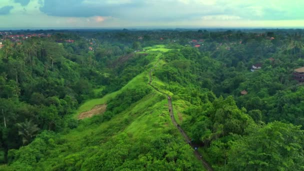 Vista aérea de Campuhan Ridge Walk, famoso senderismo colina verde en Ubud, Bali, Indonesia . — Vídeo de stock