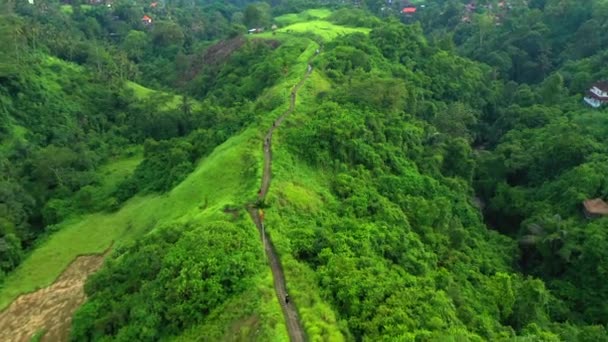 Aerial view of Campuhan Ridge Walk, famous hiking green hill in Ubud, Bali, Indonesia. — Stock Video