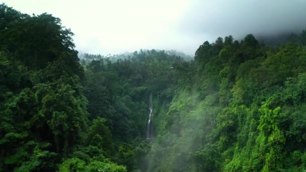 Vista aérea de la cascada de la selva en Bali. Drone volar sobre la selva tropical — Vídeo de stock