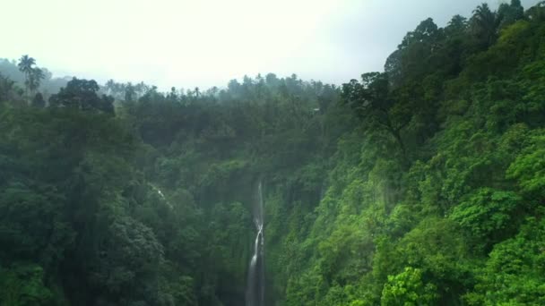 Flygfoto över djungelvattenfallet på Bali. Drönaren flyger över regnskogen genom regnet. — Stockvideo