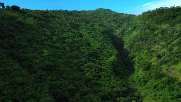 背景に美しい緑豊かなジャングルの森と山の範囲の空中ビュー。インドネシアのバリ. — ストック動画