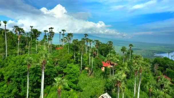 Flygfoto över en liten by på ett berg med en ocaen och en stor dal på bakgrunden. Bali, Indonesien. — Stockvideo