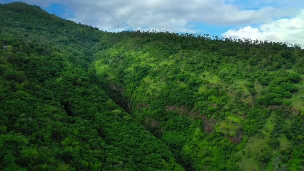 Vista aérea por la mañana del desfiladero de la selva tropical en un bosque mixto de verano y pendientes de rocas escarpadas . — Vídeos de Stock